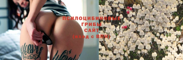 прущий лед Армянск