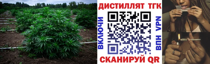 мориарти состав  Спасск-Рязанский  ТГК гашишное масло  магазин продажи   кракен онион 